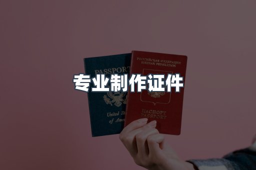 专业制作证件